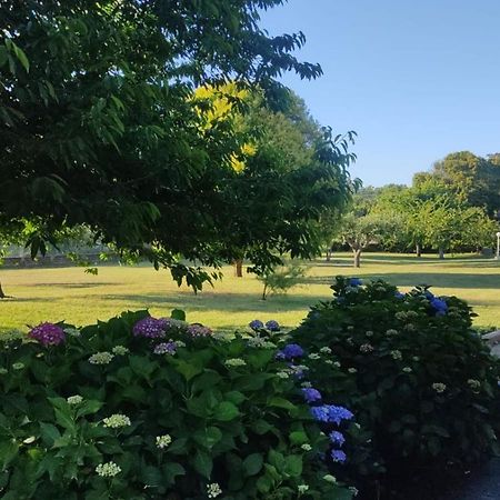Alloggio Turistico Dakota Manziana Zewnętrze zdjęcie